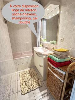 3Très Beau logement, idéalement situé , Plages, Port & Vélo à Disp - 9