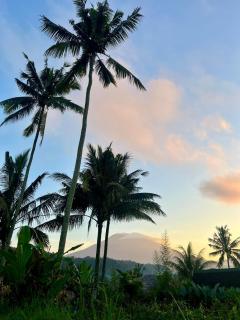 Villas Ume Sedani - 4