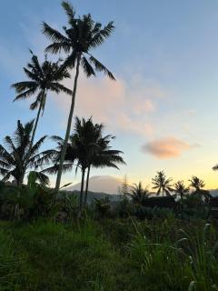 Villas Ume Sedani - 5