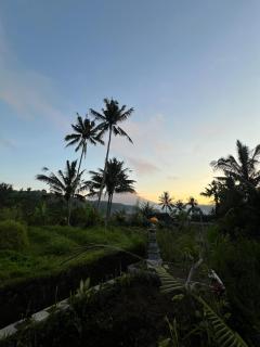 Villas Ume Sedani - 2