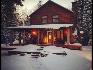 Log Cabin Adirondack Lodge on State Trail System - 5