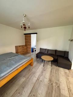 Apartmán u Šohaja - Sedlec - 2