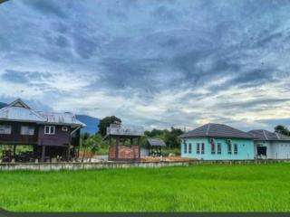 D' Bamboo Madu Homestay - 9