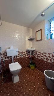 Hidden Haven, Eden in India ! Quietest stay in Goa - 5
