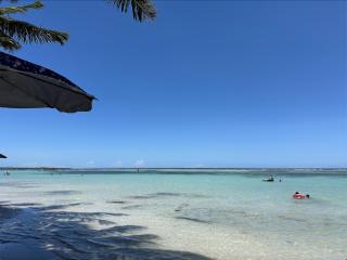 Santo Domingo Tropical Peaceful Escape Ocean Front Near Boca Chica Airport - 8