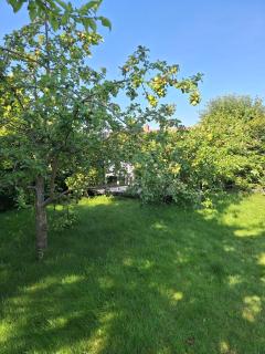 P7 Close to station and nature - 6