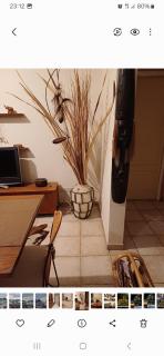Marina's House - 6