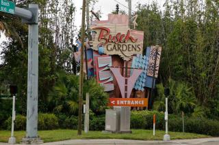 Renovated Seminole Heights Beauty - 3