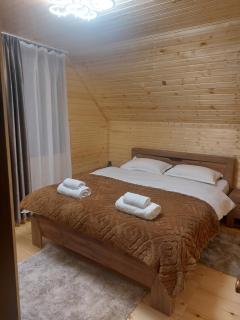 საოჯახო კოტეჯი ფშუქები - Khoni - 3