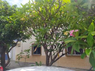 Hermosa casita con patio compartido - 5