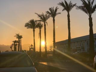 Luxury Apartment Ritz Carlton - 1