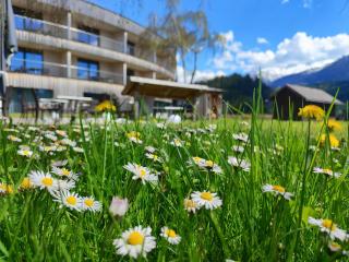 Landhotel Das Stocker - 1