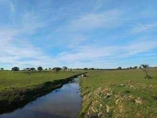 Twin Room Sofia's Happy House WC Privada Porta ao lado - 6