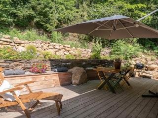 Chalet Lac de la Raviège la Laurinette SPA - 4