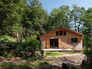 Chalet Lac de la Raviège la Laurinette SPA - 6