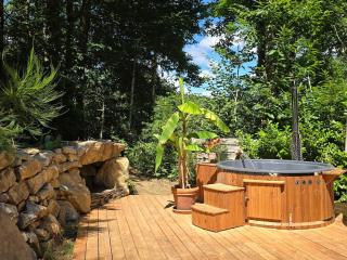 Chalet Lac de la Raviège la Laurinette SPA - 8