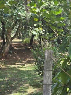 Chácara Refúgio em Foz próximo ao Corredor Turístico - 2