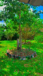 Chácara Refúgio em Foz próximo ao Corredor Turístico - 1