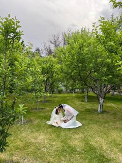 Guest House "Midnight" - 4