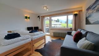 Sunny 5 guests apartment by Moosfluh gondola - 6