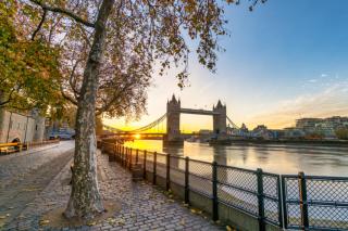 Excellent location, ideal for families, modern and comfortable apartment in London United Kingdom - 8