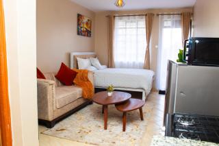 Comfy modern studio in Kitisuru - 2
