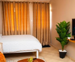Comfy modern studio in Kitisuru - 1