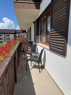 Scenic Chalet Apartment Brașov - Poiana - 1