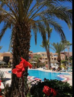 Limnaria Crystal Blue - Paphos - 3