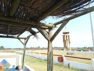 Appartement avec jardinet dans mas équestre - 5