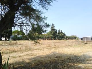 Appartement avec jardinet dans mas équestre - 4