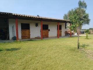 Appartement avec jardinet dans mas équestre - 3