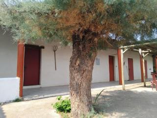 Appartement avec jardinet dans mas équestre - 0