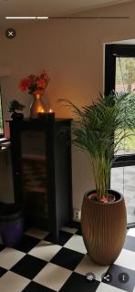 BlackPearl Chalet Hattemerbroek - 8