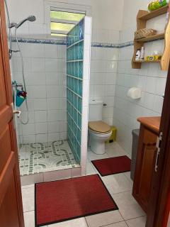 Le Jardin Créole Gîte chaleureux à Trois-Rivières - 4