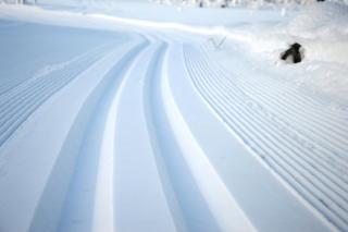 16 - Fulufjellets nasjonalparker - snø - alpint - langrenn - snøscooter - Ljørdal - 9