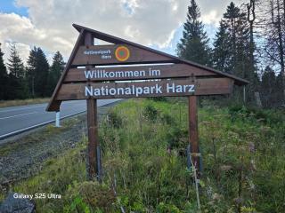 MaiFerien Harz - Haus Goldstrahl - 0
