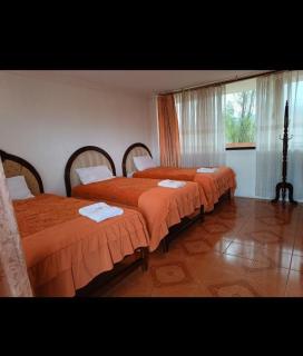 Hotel International Prestige - 0
