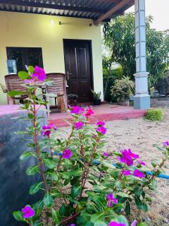 Staycation Budget - Kalpitiya - 9