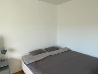 Cozy Studio with Courtyard - Near City Center - 3