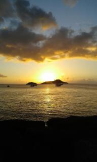 les flamboyants - 1