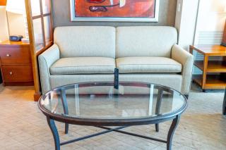 MGM Signature 19-716 Jacuzzi Studio - 4