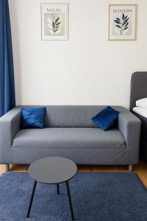 Big Space Apartment Vienna - 8