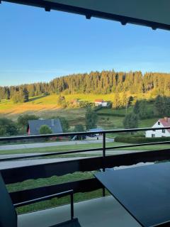 Apartment "Das Waldo" - beim Titisee, Ausblick, Stellplatz - 8