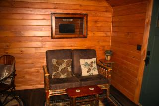 ADK Pinecone Cabin - Close to Rail Trail & Lake - 3