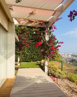 Luxury House on the Cliff - 4