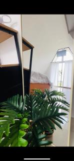 Moonlight Lodge - Cuatro Esquinas - 7