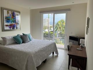 New 3 BR Condo With Amazing Terrace - 5