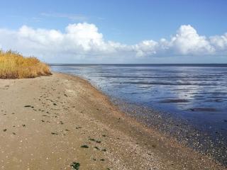 Luxury Retreat in Romo - By Traum Ferienwohnungen - 4