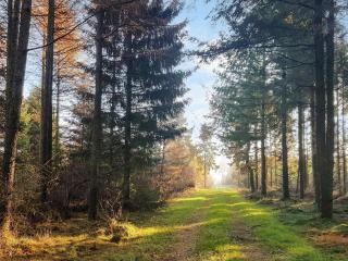 6 person holiday home in Toftlund-By Traum - 2